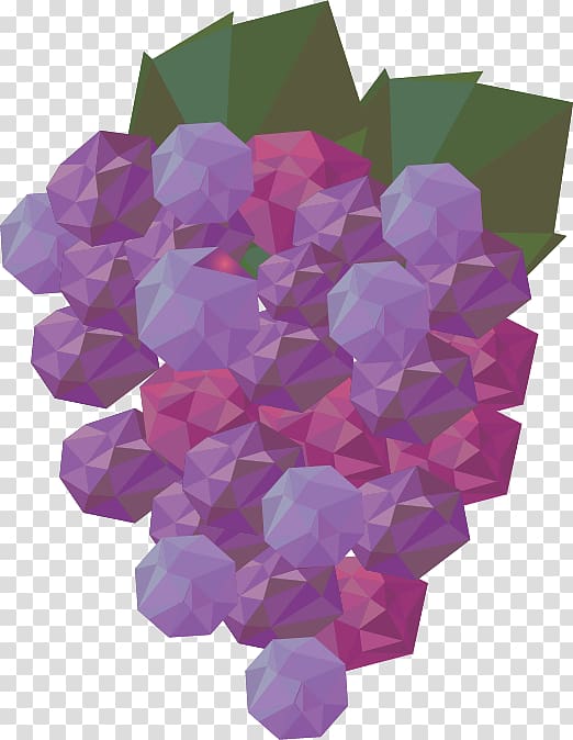 Geometry Auglis Geometric shape, Creative abstract grape fruit transparent background PNG clipart