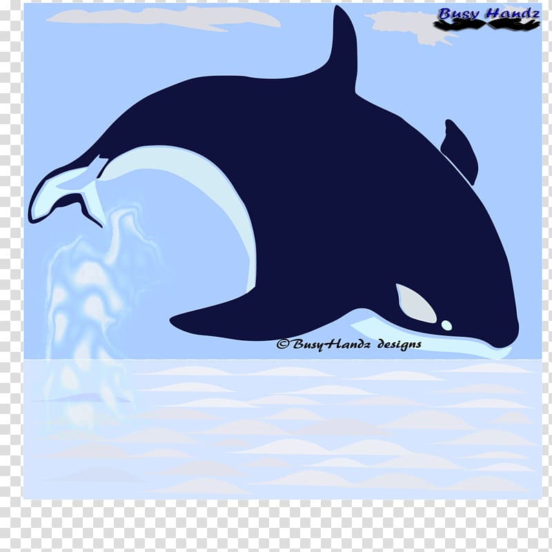 Killer whale Common bottlenose dolphin Tucuxi Marine biology Desktop , blue whale transparent background PNG clipart