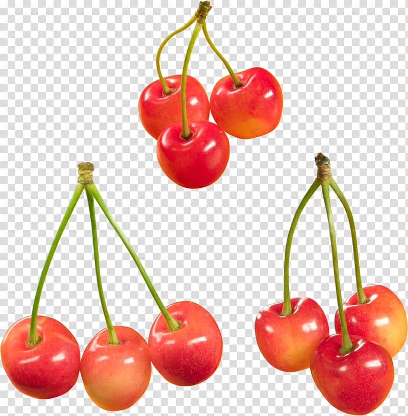 Sweet Cherry Cerasus Food Fruit, cherry transparent background PNG clipart