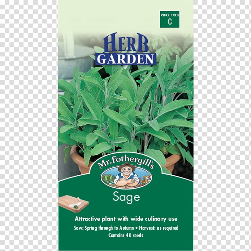 Herb Common sage Clary Seed Dog meat, sage transparent background PNG clipart