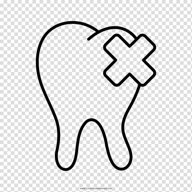 Human tooth Drawing Whiskers Tooth decay, diente de leon dibujo transparent background PNG clipart