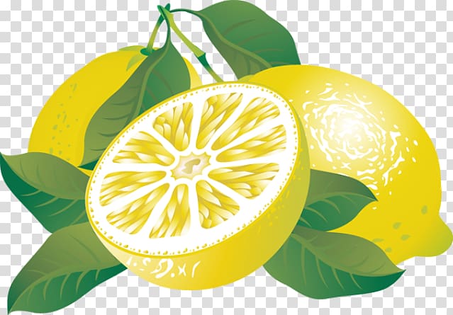 Lemon Free content , Citrus transparent background PNG clipart