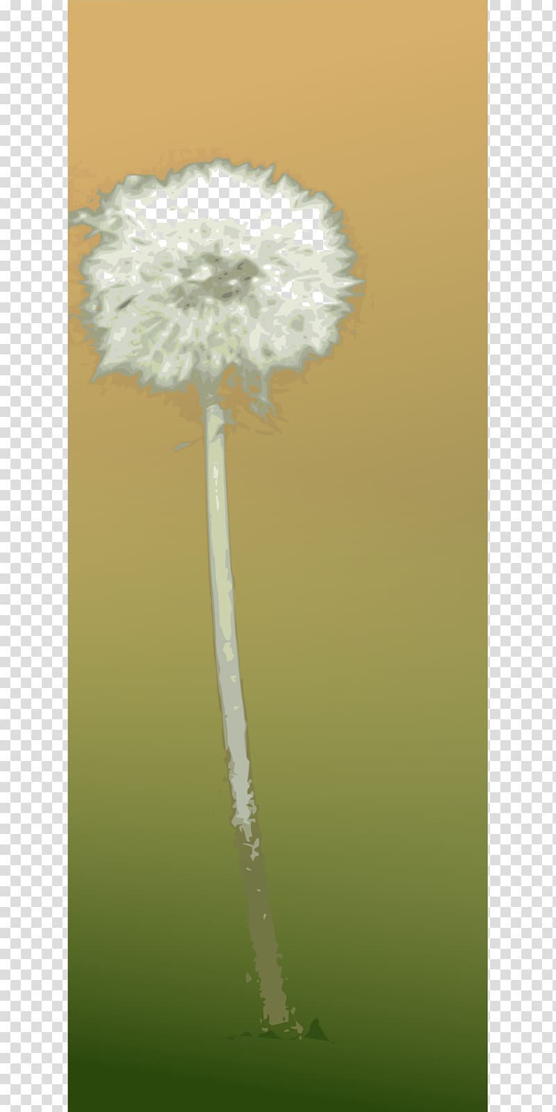 Common Dandelion , dandelion transparent background PNG clipart