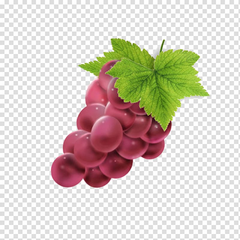 Grape Berry Seedless fruit, grape transparent background PNG clipart