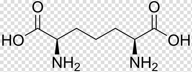Amino acid Glutaconic acid Carboxylic acid Aspartic acid, Lysergic Acid transparent background PNG clipart