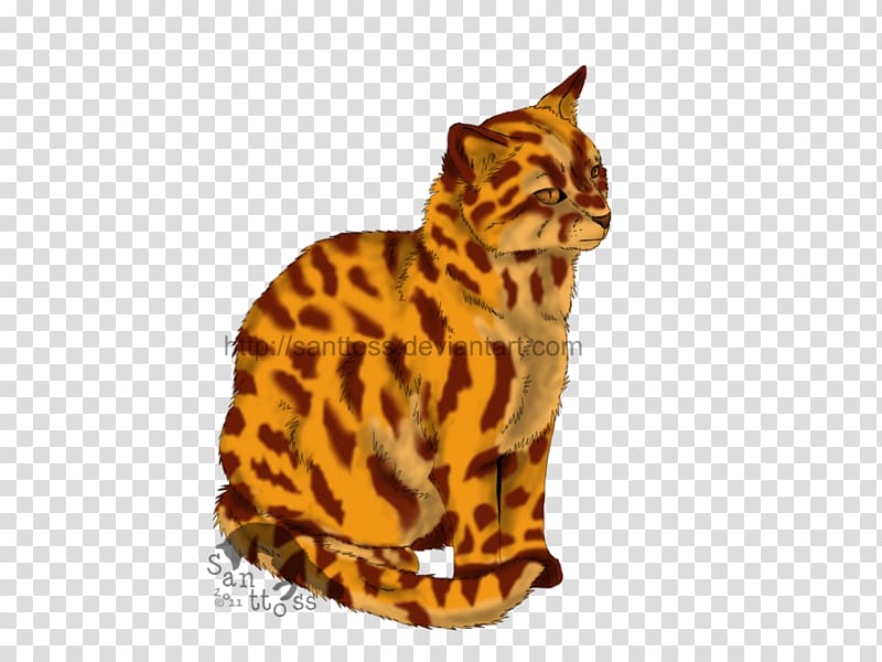 Bengal cat California spangled Cats of the Clans Warriors Leopardstar, Leopard eyes transparent background PNG clipart