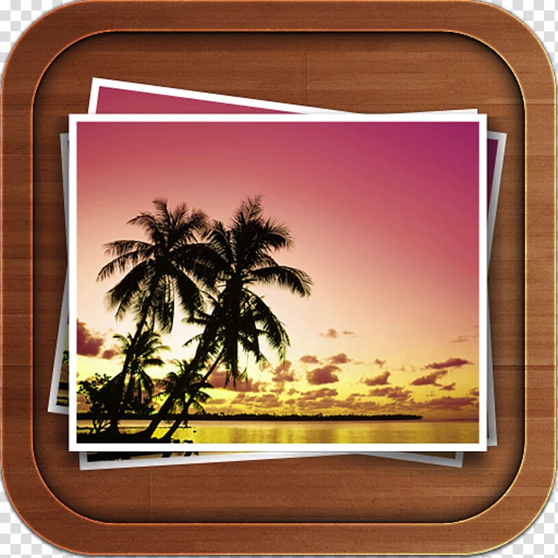 Desktop Sunset Beach Arecaceae Sunrise, beach transparent background PNG clipart