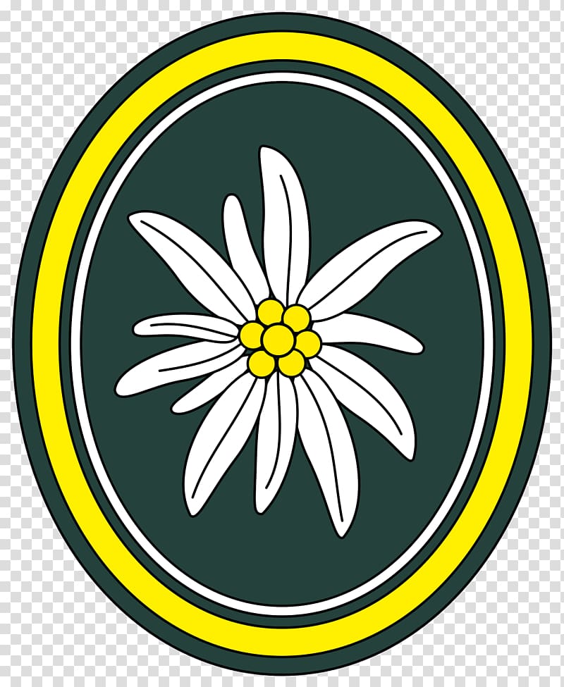 Gebirgsjäger Germany Army Leontopodium nivale Edelweiss, army transparent background PNG clipart