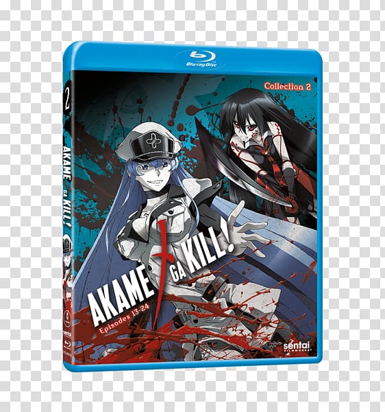 Akame ga Kill! Anime Blu-ray disc Manga Teigu, Anime transparent background PNG clipart