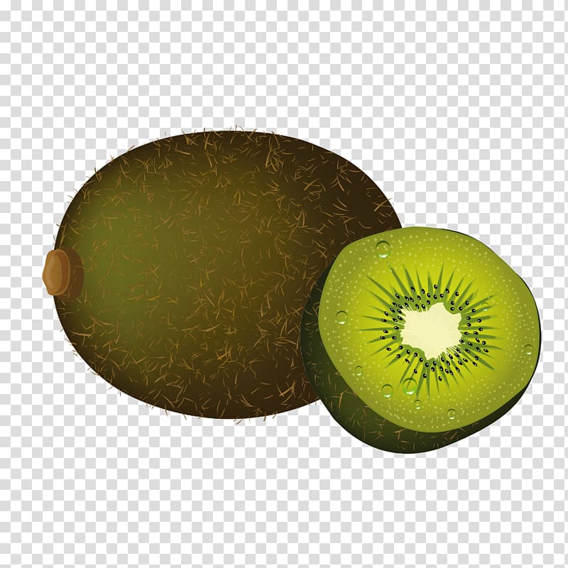 Kiwifruit Euclidean , Kiwi Kiwi slice transparent background PNG clipart