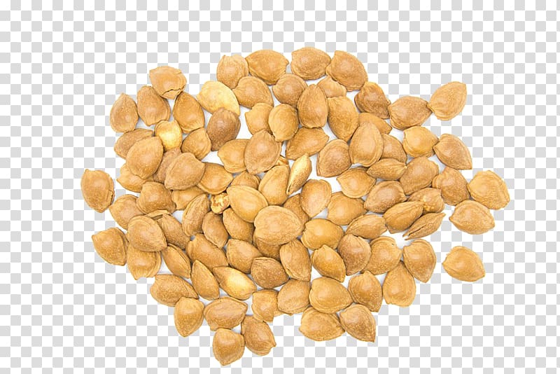 Nut , ,HD,almond transparent background PNG clipart