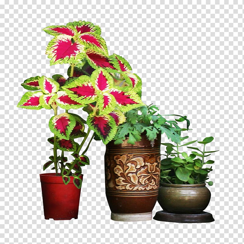 Vase Flowerpot Garden, tree transparent background PNG clipart