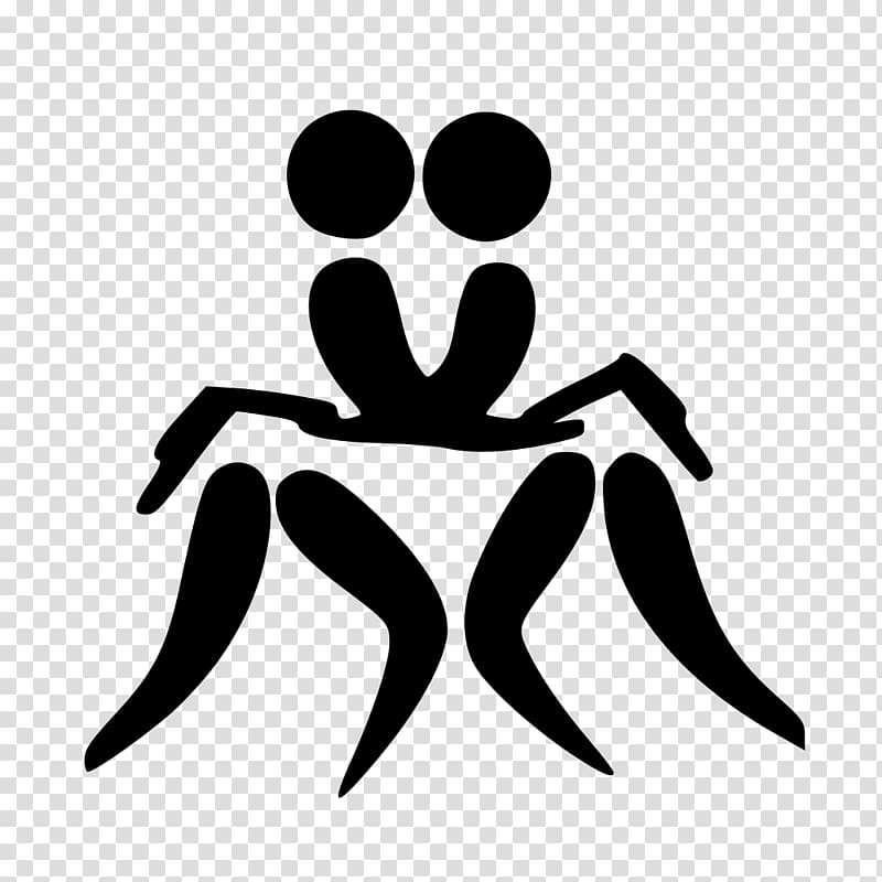 Belt wrestling at the 2009 Asian Indoor Games Professional wrestling Combat sport , chess transparent background PNG clipart