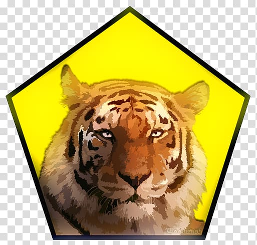 Pombia Safari Park Tiger Zoo, tiger head transparent background PNG clipart