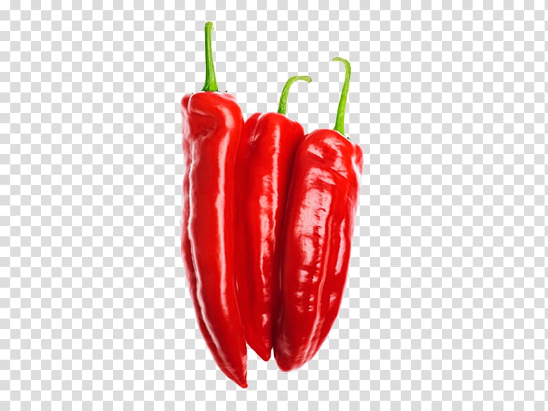 Habanero Serrano pepper Jalapexf1o Bell pepper Birds eye chili, Pepper transparent background PNG clipart