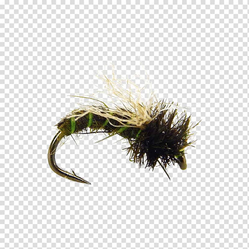 Caddisfly Fly fishing Pupa Insect Larva, Fly Tying transparent background PNG clipart