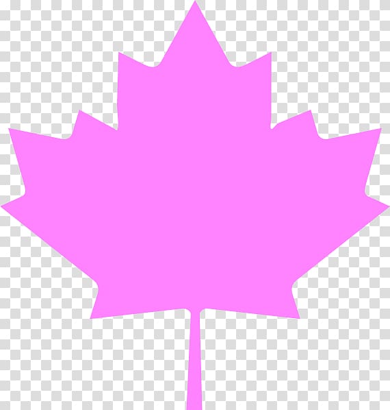 Flag of Canada Flag of Quebec Maple leaf, pink leaves transparent background PNG clipart
