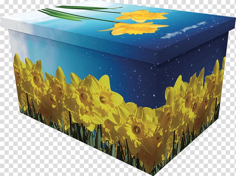 Coffin Box I Wandered Lonely as a Cloud Daffodil Flower, box transparent background PNG clipart