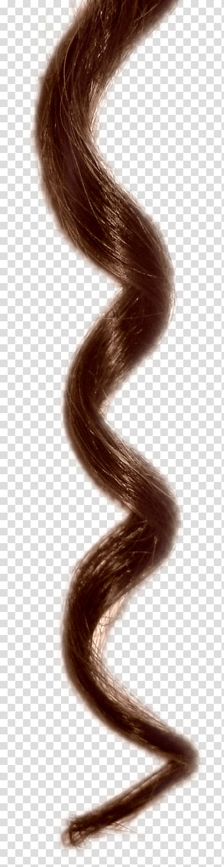 Hair , hair curls transparent background PNG clipart