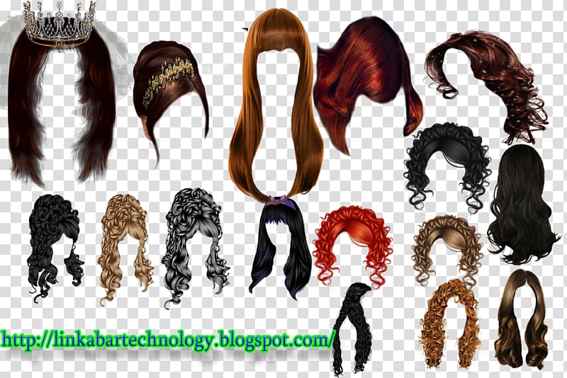 Optical disc Hair coloring Wig Disk Long hair, others transparent background PNG clipart