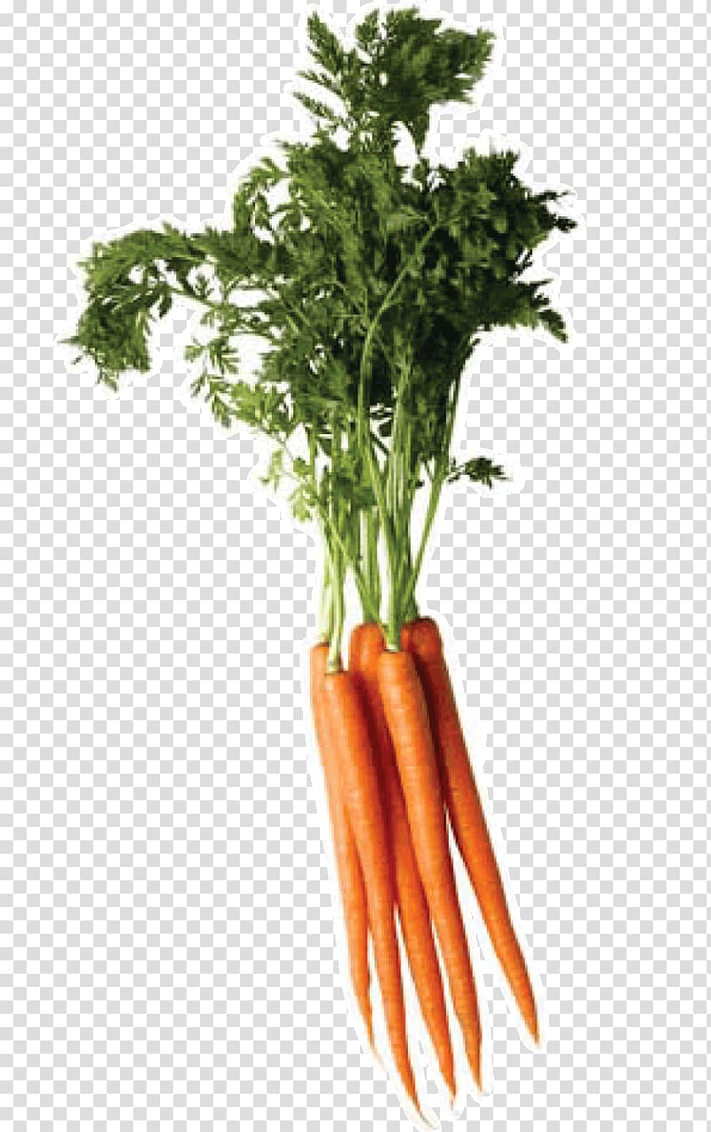 Carrot Vegetable, Carrot transparent background PNG clipart