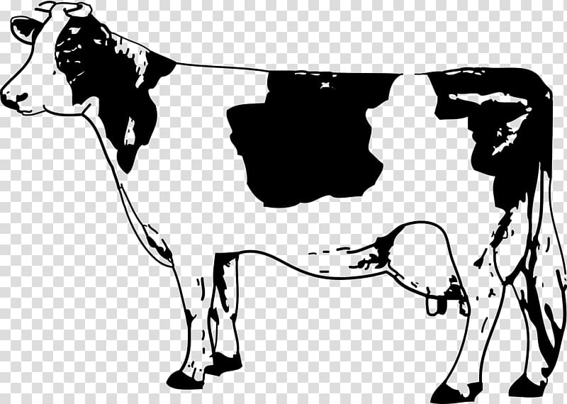 Cattle Calf , Cow transparent background PNG clipart