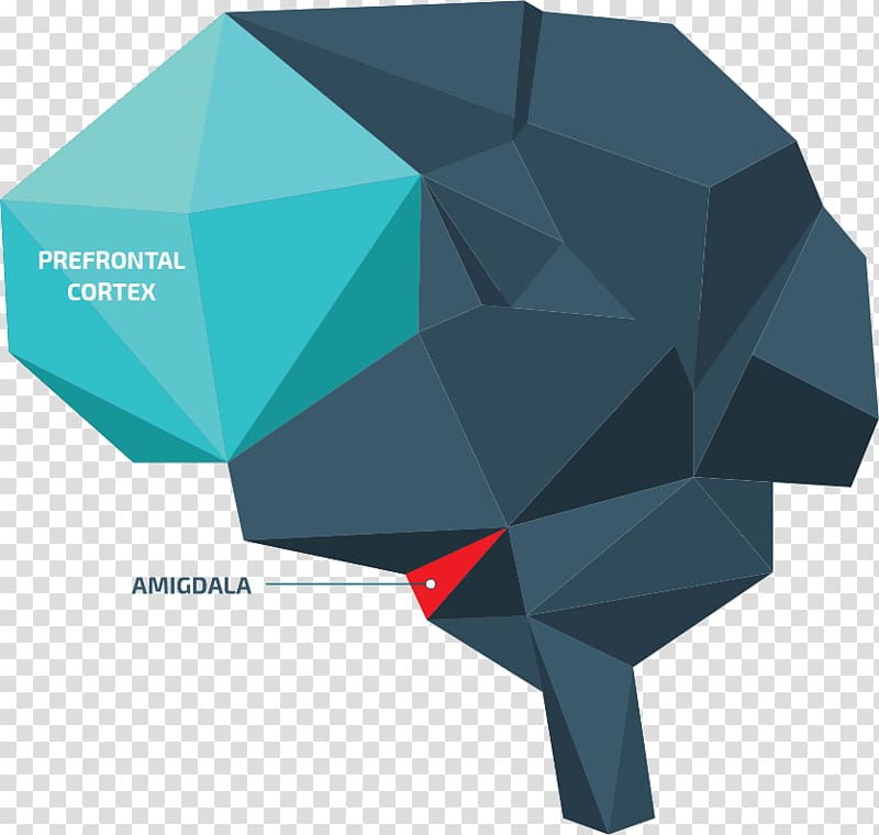 Line, design transparent background PNG clipart