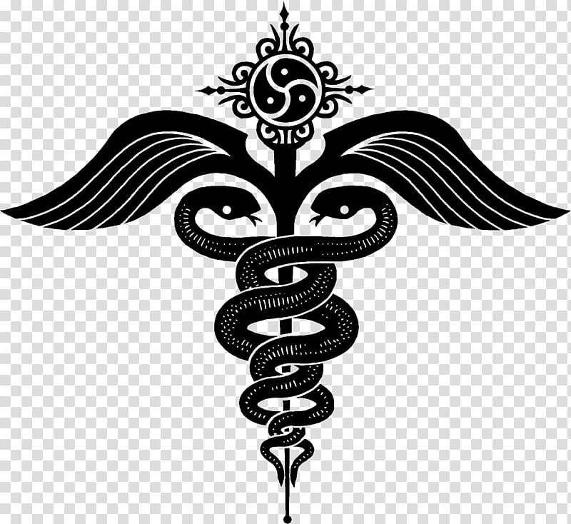 Staff of Hermes Caduceus as a symbol of medicine Snakes Serpent, symbol transparent background PNG clipart