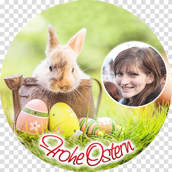 Easter Bunny Good Friday Easter egg Egg hunt, Easter transparent background PNG clipart