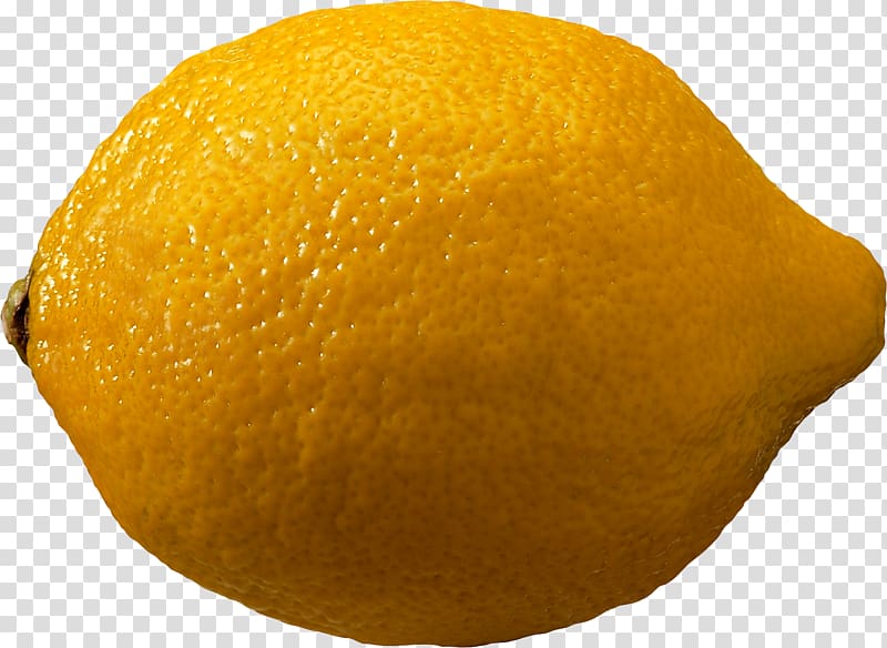 Clementine Chenpi Lemon Citron Citrus junos, Lemon transparent background PNG clipart
