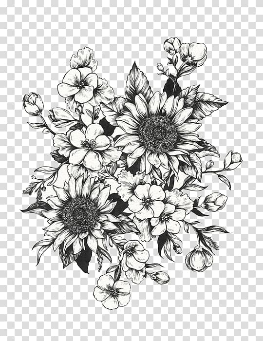 Sunflower Line Art png images  PNGWing