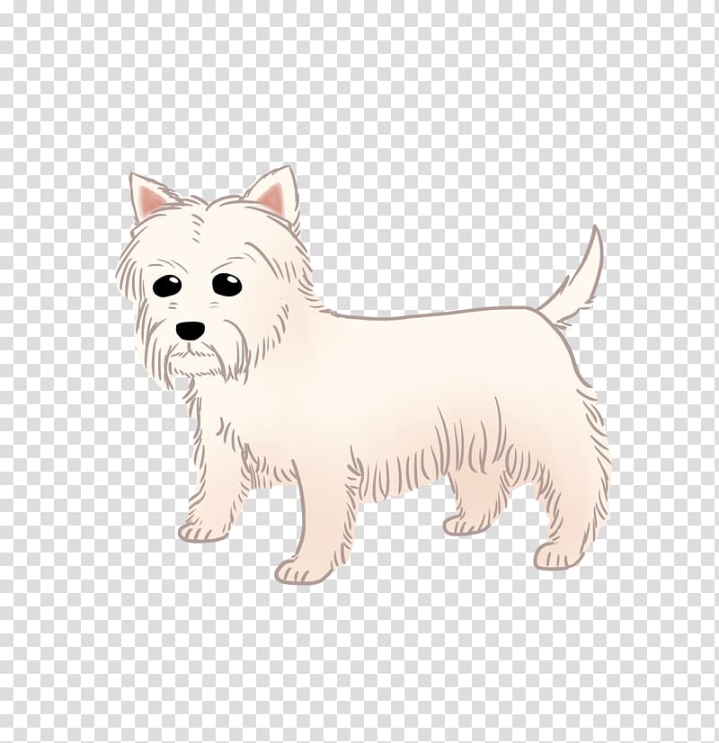 West Highland White Terrier Cairn Terrier Rare breed (dog) Companion dog Dog breed, puppy transparent background PNG clipart
