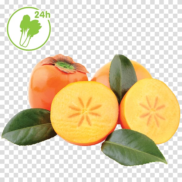 Clementine Tangerine Mandarin orange Tangelo Bitter orange, durian fruit products in kind transparent background PNG clipart