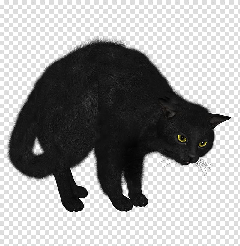 Black cat Kitten, Black Cat transparent background PNG clipart