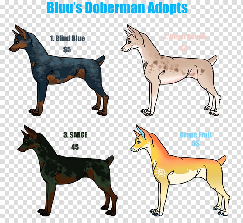 Dog breed Dobermann Rottweiler Great Dane English Mastiff, Doberman transparent background PNG clipart