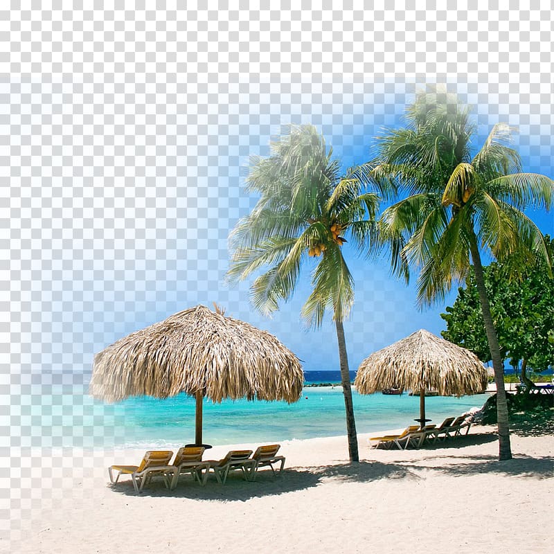 two green coconut trees near body of water , Klein Curaxe7ao Coral Estate Centre Playa PortoMari Beach, Beach scenery background transparent background PNG clipart