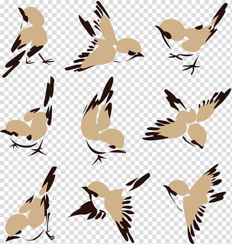 Bird Sparrow , sparrow transparent background PNG clipart