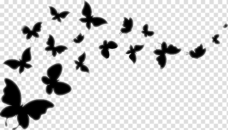 Butterfly graphics , butterfly transparent background PNG clipart