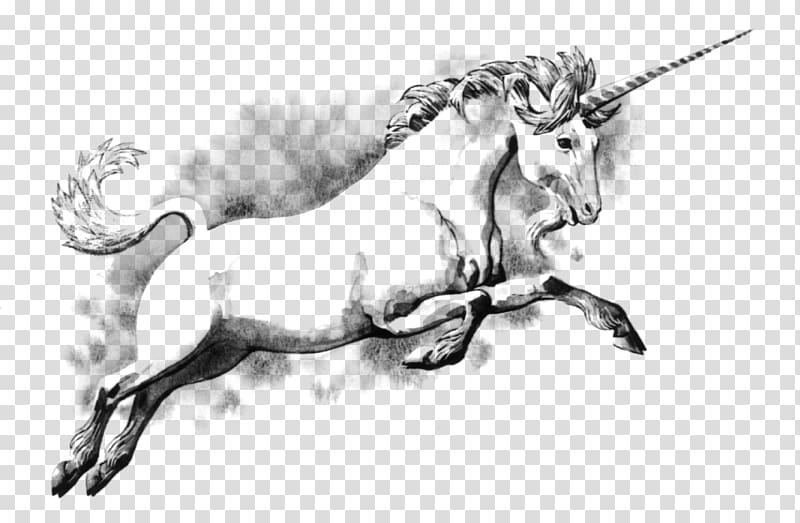 Unkind to Unicorns: Comic Verse of A.E. Housman Legendary creature Fairy tale Scotland, unicorn transparent background PNG clipart