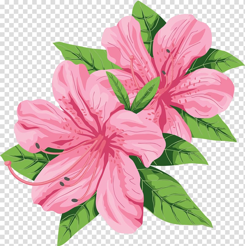 Flower Hibiscus , hibiscus transparent background PNG clipart