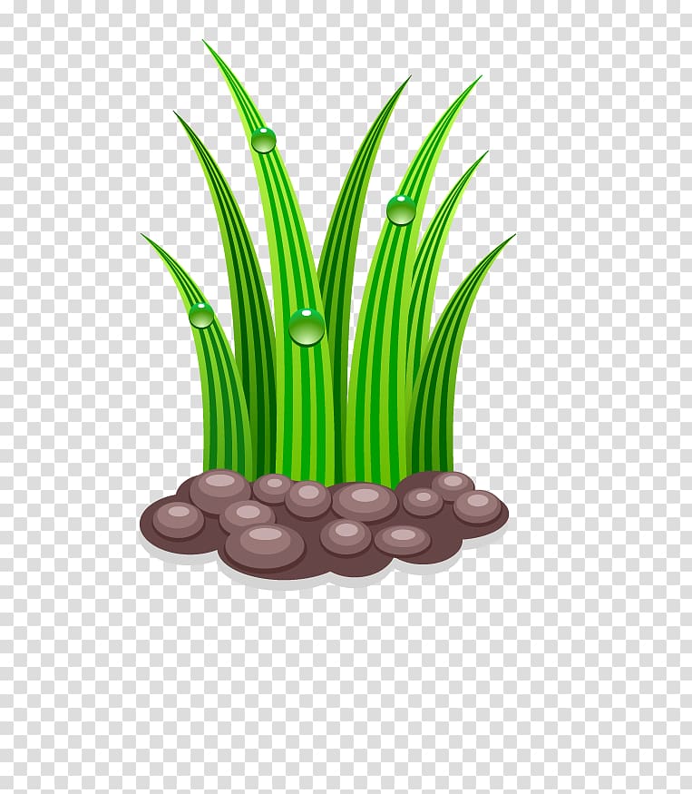 Gardening Watering can, Green grass transparent background PNG clipart
