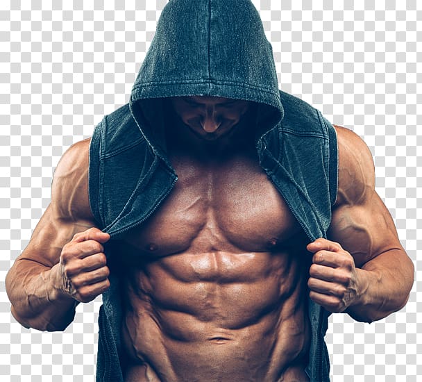 Anabolic steroid Abdominal exercise Muscle Bodybuilding, ripped transparent background PNG clipart