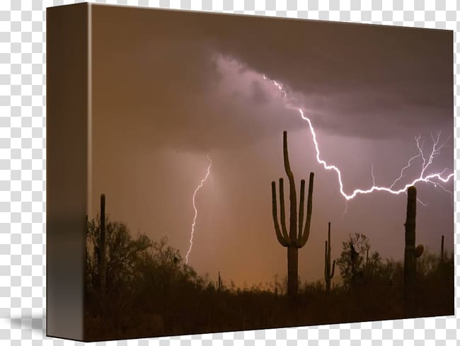 Sonoran Desert Lightning Southwestern United States Thunderstorm, arizona desert transparent background PNG clipart