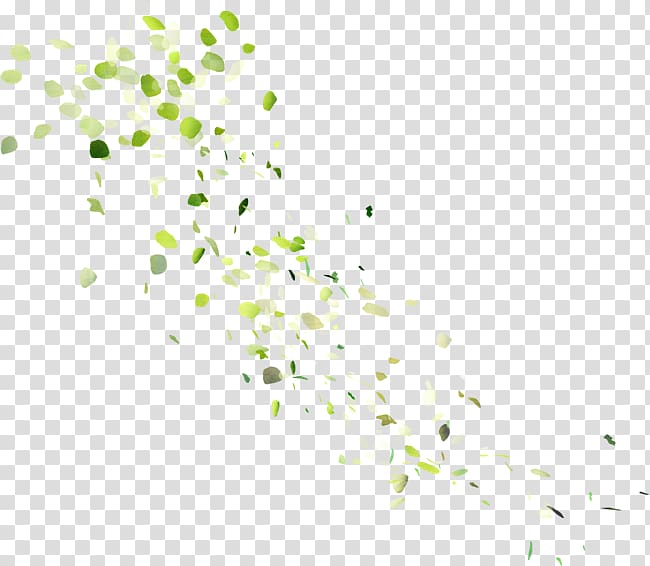 green leaves, Portable Network Graphics Light , light transparent background PNG clipart