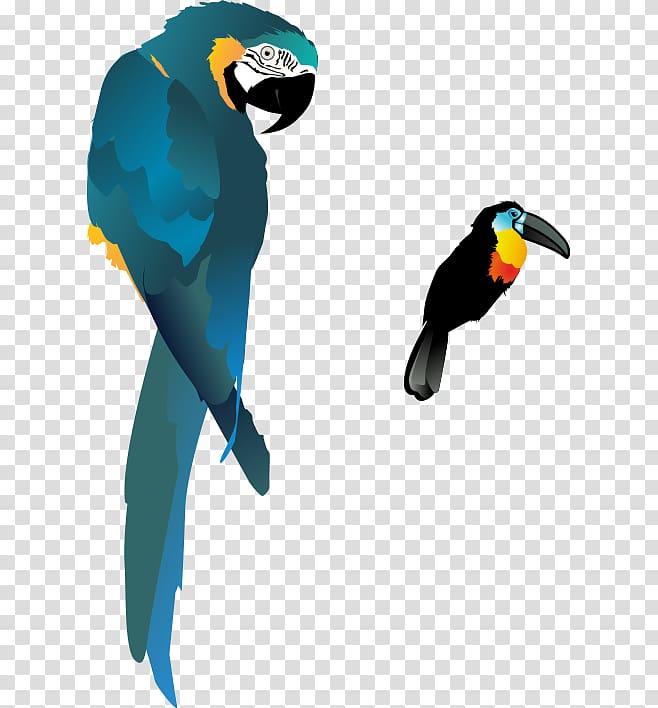 Bird True parrot Macaw, Cartoon hand colored parrot transparent background PNG clipart