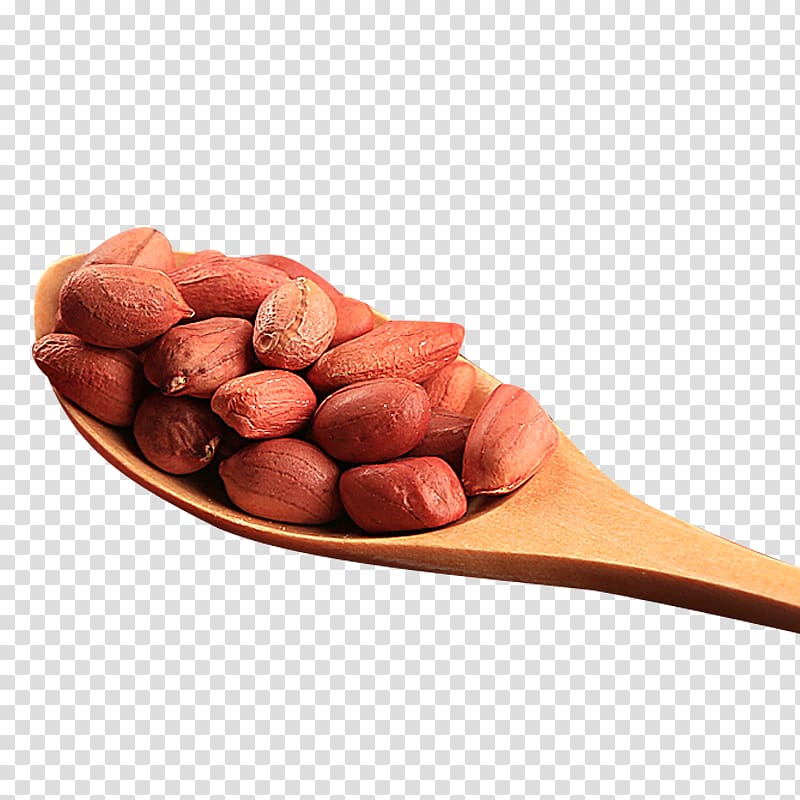 Peanut transparent background PNG clipart