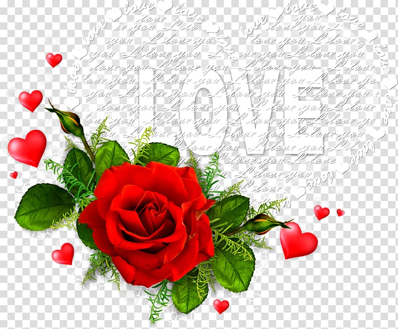 Heart Valentine\'s Day Flower Love , lovely text transparent background PNG clipart