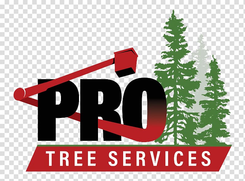 Pro Tree Services Burnaby Christmas tree Coquitlam, christmas tree transparent background PNG clipart