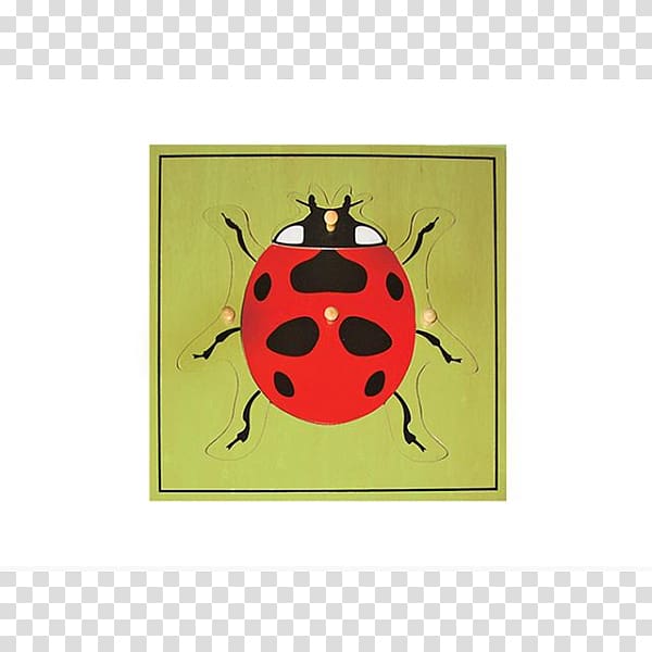 Jigsaw Puzzles Montessori sensorial materials Educational Toys Ladybug Puzzle, toy transparent background PNG clipart