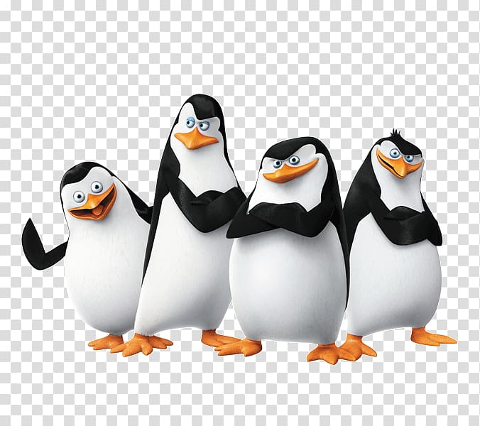 four black-and-white penguins illustration, Skipper Kowalski Penguin Madagascar Film, Madagascar penguins transparent background PNG clipart